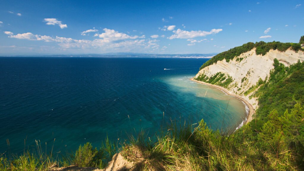 Strunjan Cliffs