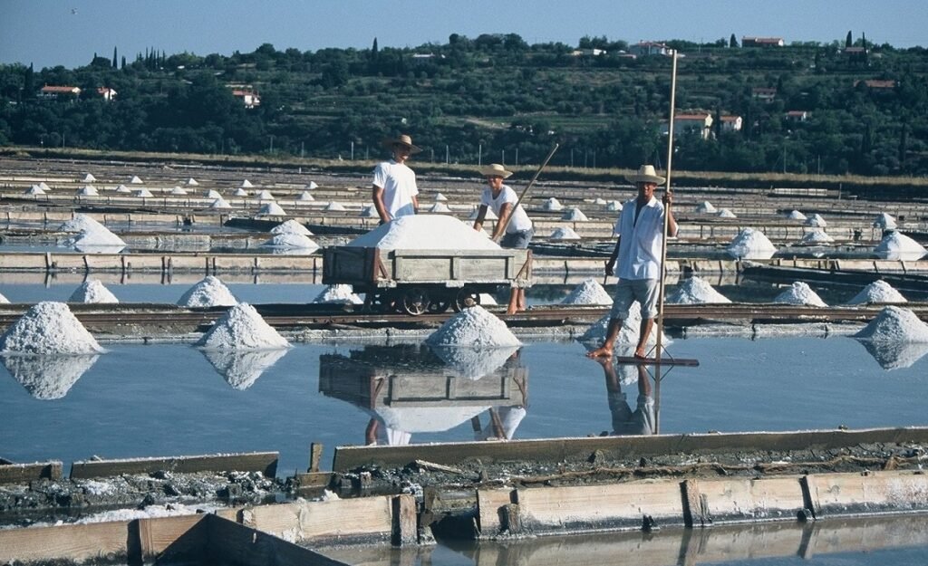 Sečovlje Salt Pans
