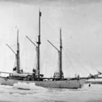 Maud
