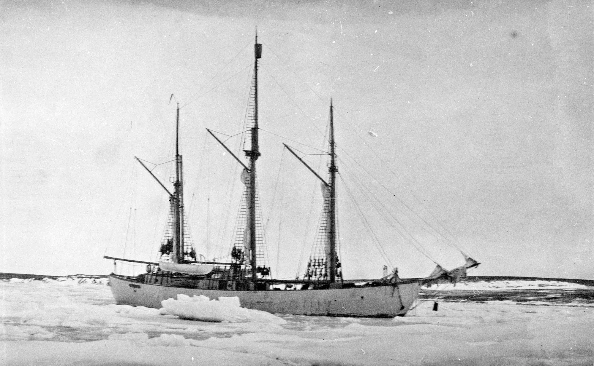 Maud