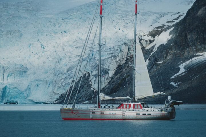 Pelagic 77