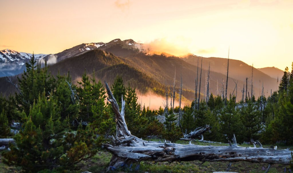 Olympic National Park